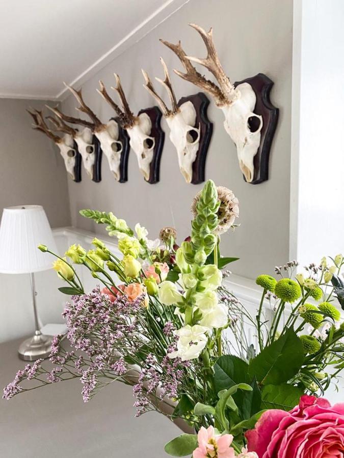 4Seasonshouse Villa Losser Luaran gambar
